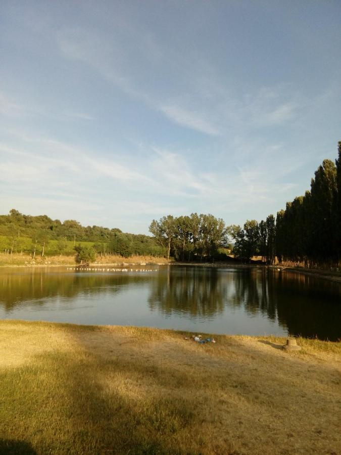 Antica Dimora Figli Di Bocco Apartment Castiglion Fibocchi Bagian luar foto