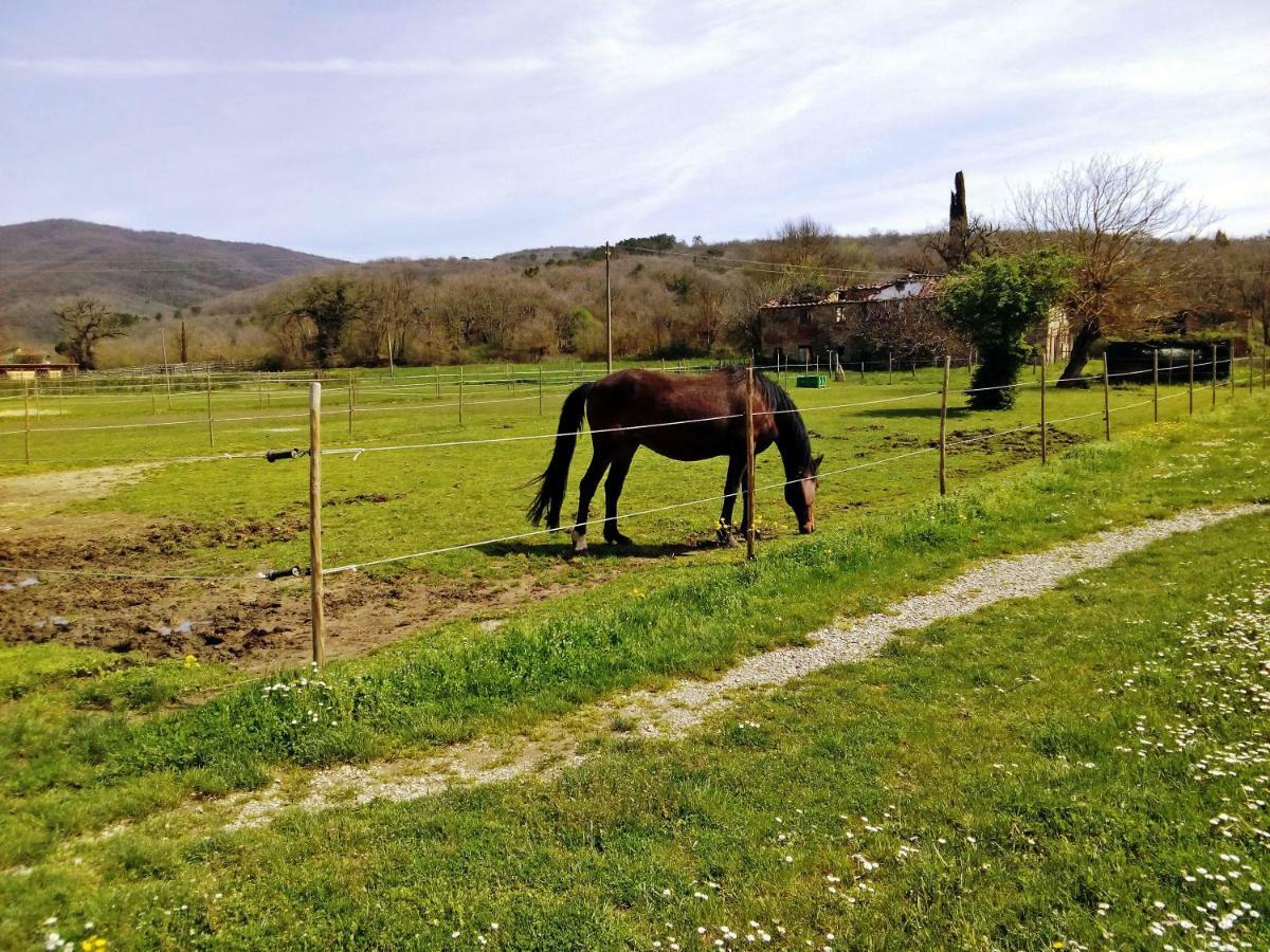 Antica Dimora Figli Di Bocco Apartment Castiglion Fibocchi Bagian luar foto